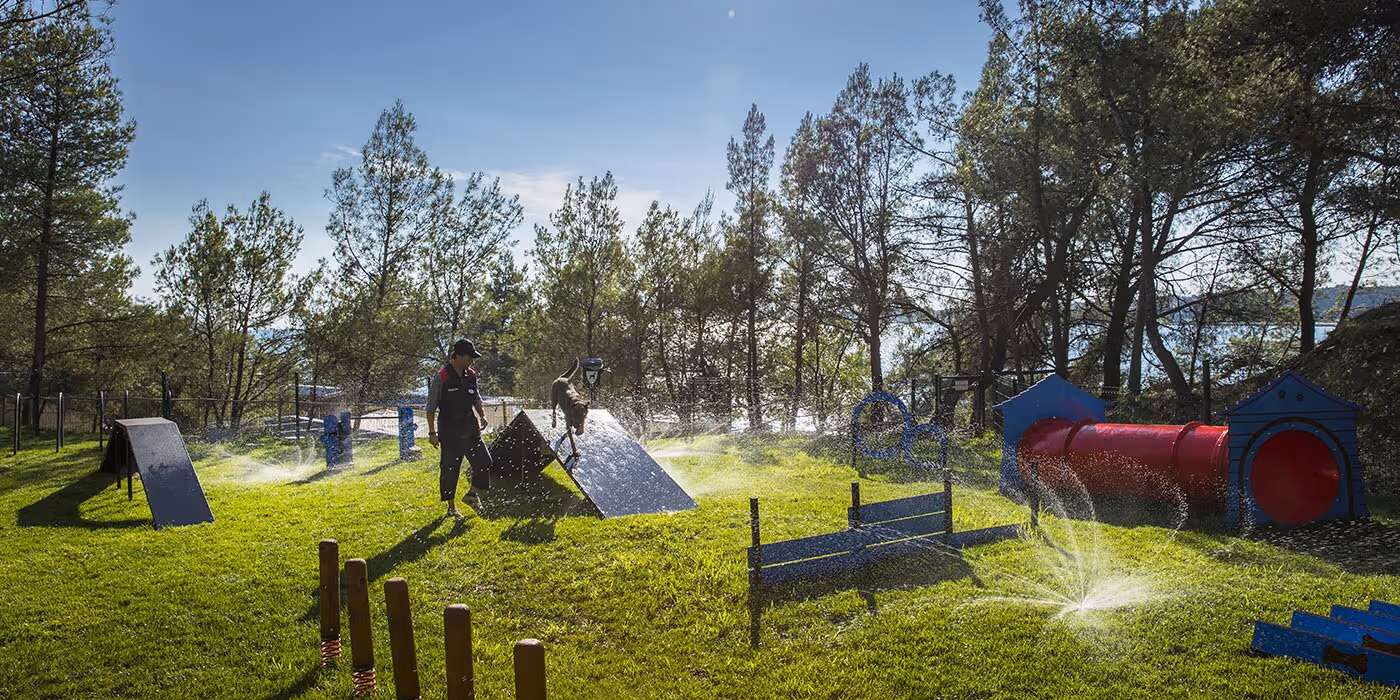 Hondentrainingsveld met speeltoestellen en watersproeiers tussen de bomen op Camping Lanterna