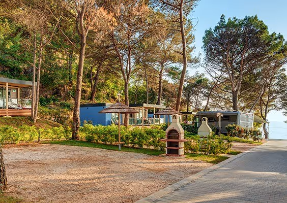Ruime Marbello Premium Mare-plaatsen onder hoge pijnbomen op Camping Lanterna