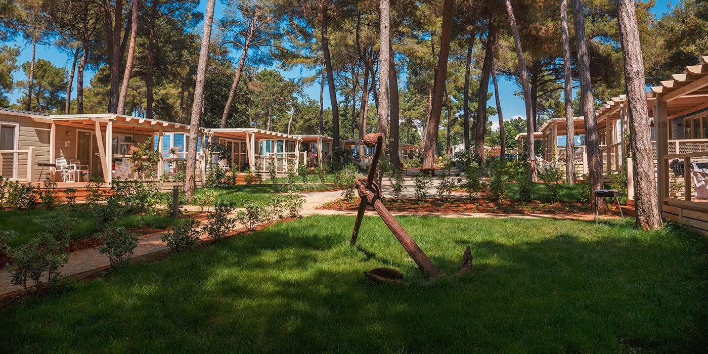 Marine Homes tussen pijnbomen en gras in Marine Premium Village, Camping Lanterna
