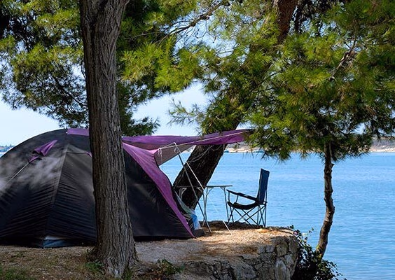 Tentplaats onder de bomen direct aan de Adriatische Zee op Camping Lanterna